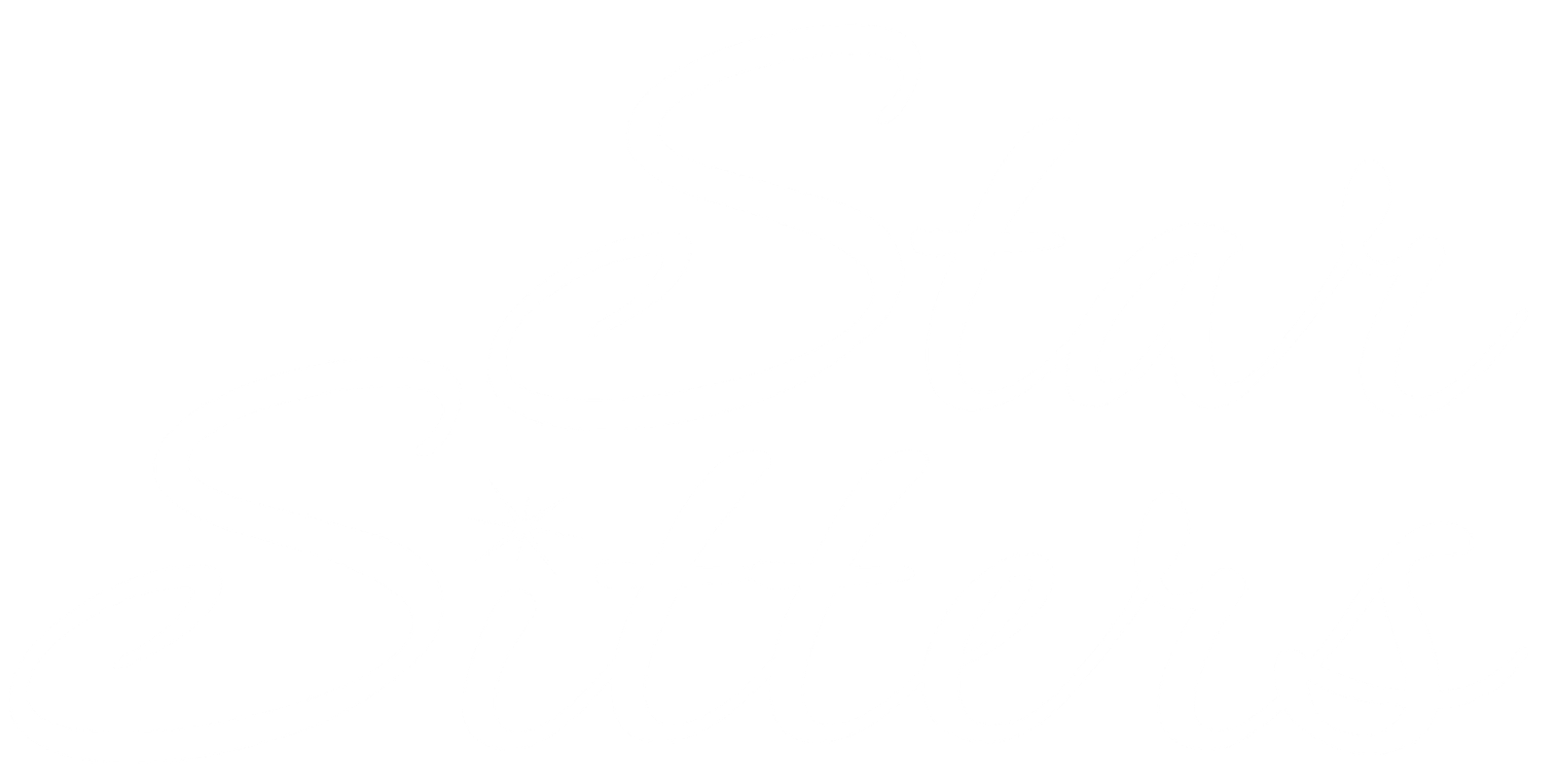 StarSitters Logo